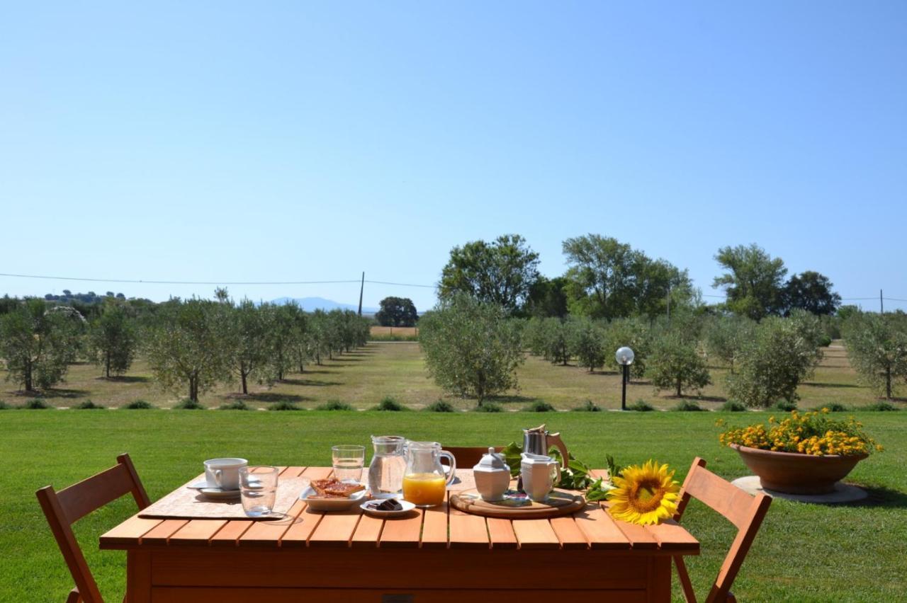 Agriturismo Il Vecchio Mandorlo Кастильоне-делла-Пеская Экстерьер фото