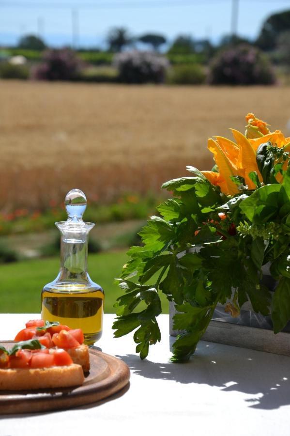 Agriturismo Il Vecchio Mandorlo Кастильоне-делла-Пеская Экстерьер фото