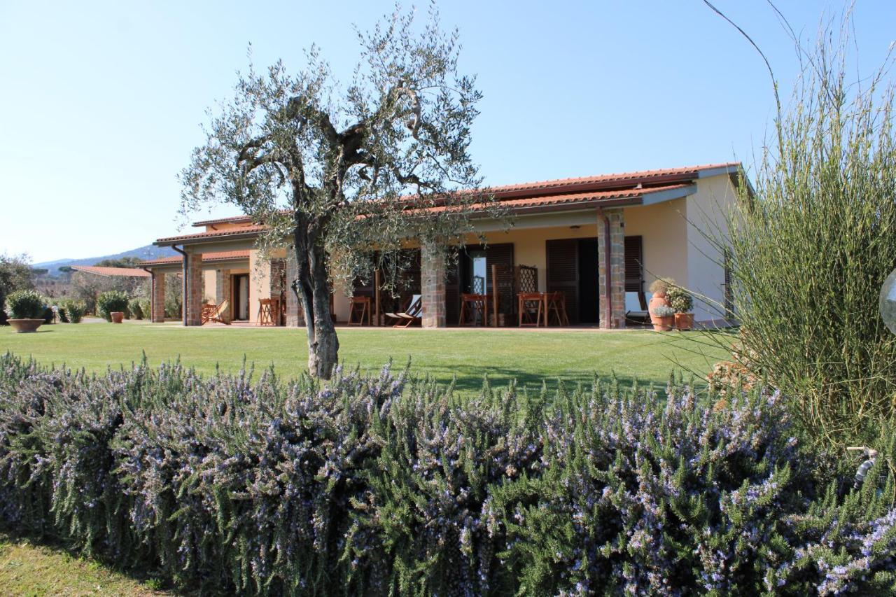 Agriturismo Il Vecchio Mandorlo Кастильоне-делла-Пеская Экстерьер фото